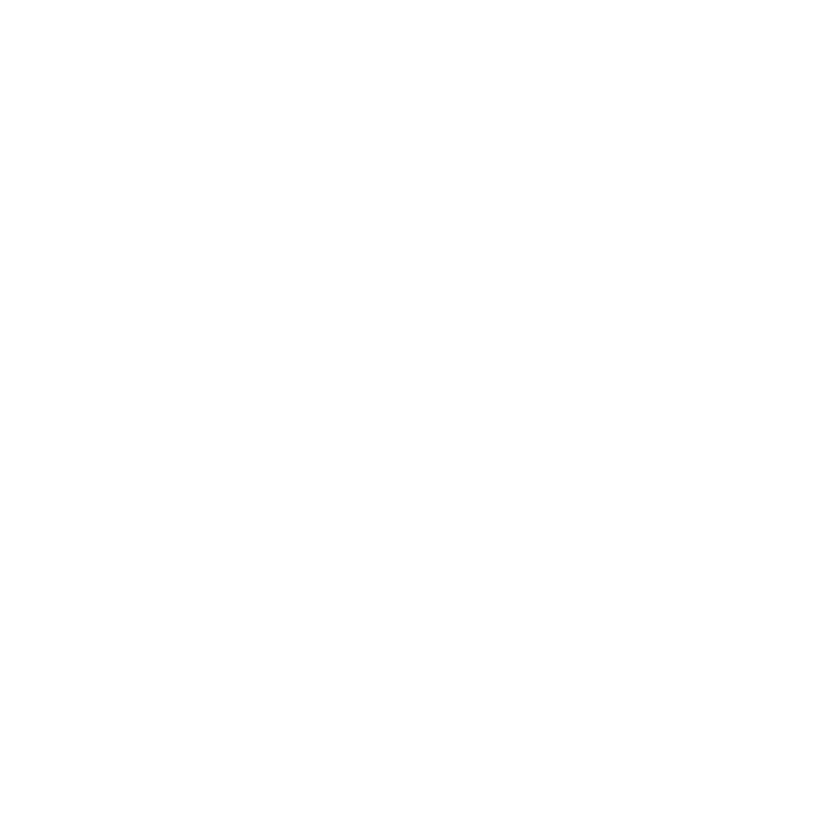 Gustavo Borges